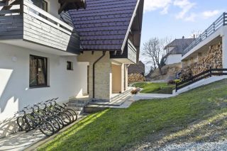 pensiunea podul simonului bran - poze exterior